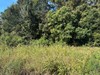 Listing Photo 37212